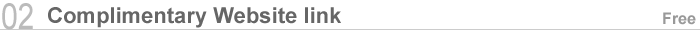 02. Complimentary Website link
